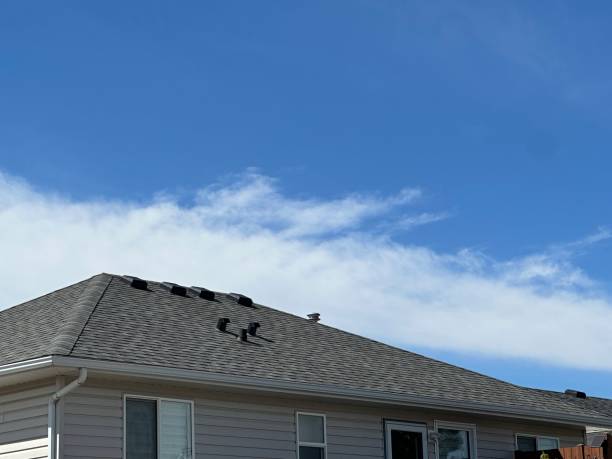 Best Steel Roofing  in Espy, PA